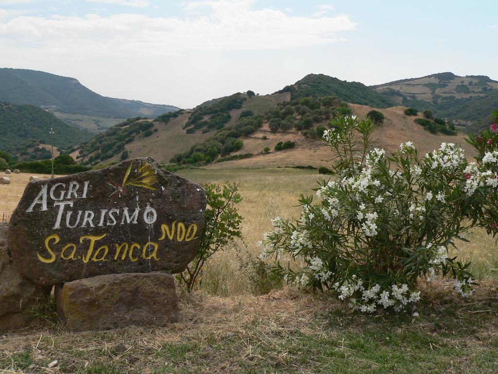 Agriturismo Sa Tanca Noa Tergu Dış mekan fotoğraf