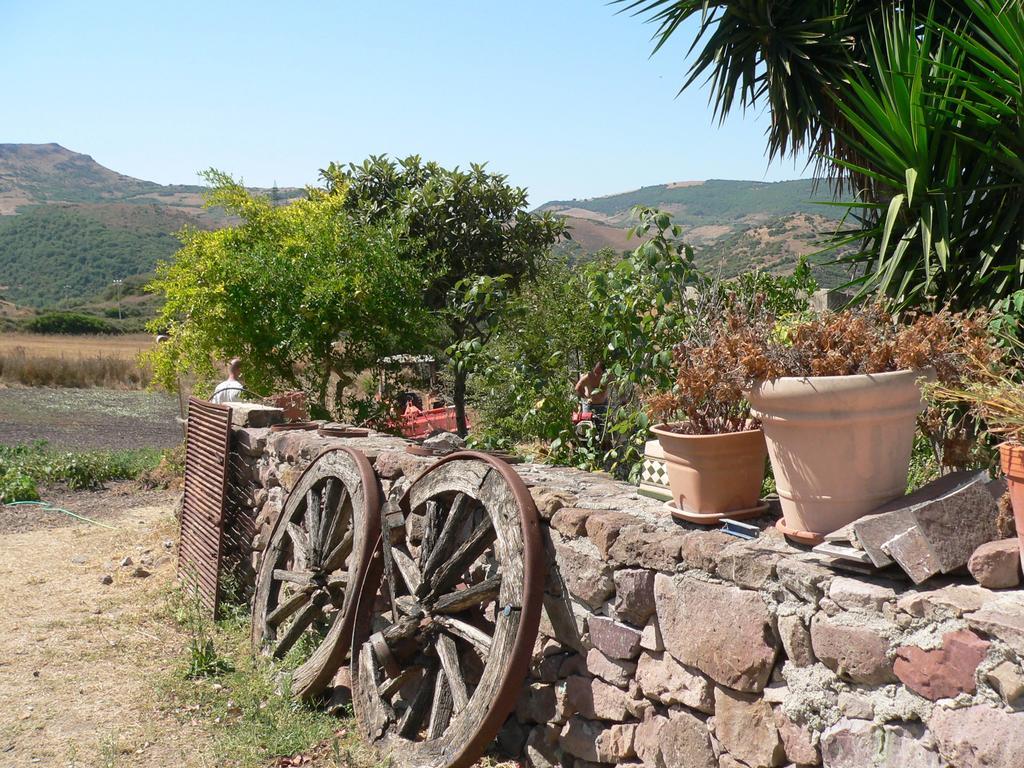 Agriturismo Sa Tanca Noa Tergu Dış mekan fotoğraf
