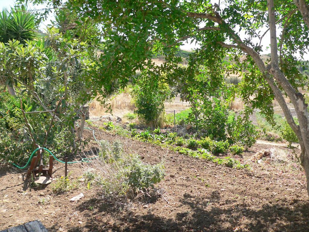Agriturismo Sa Tanca Noa Tergu Dış mekan fotoğraf