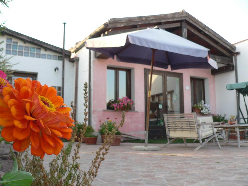 Agriturismo Sa Tanca Noa Tergu Dış mekan fotoğraf