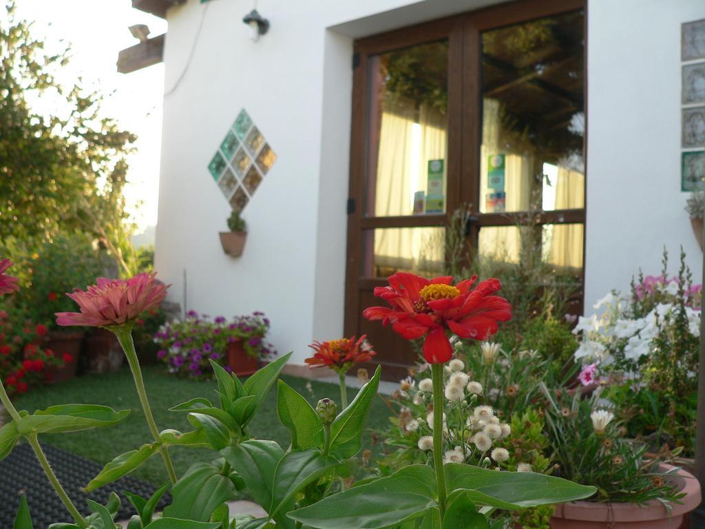 Agriturismo Sa Tanca Noa Tergu Dış mekan fotoğraf