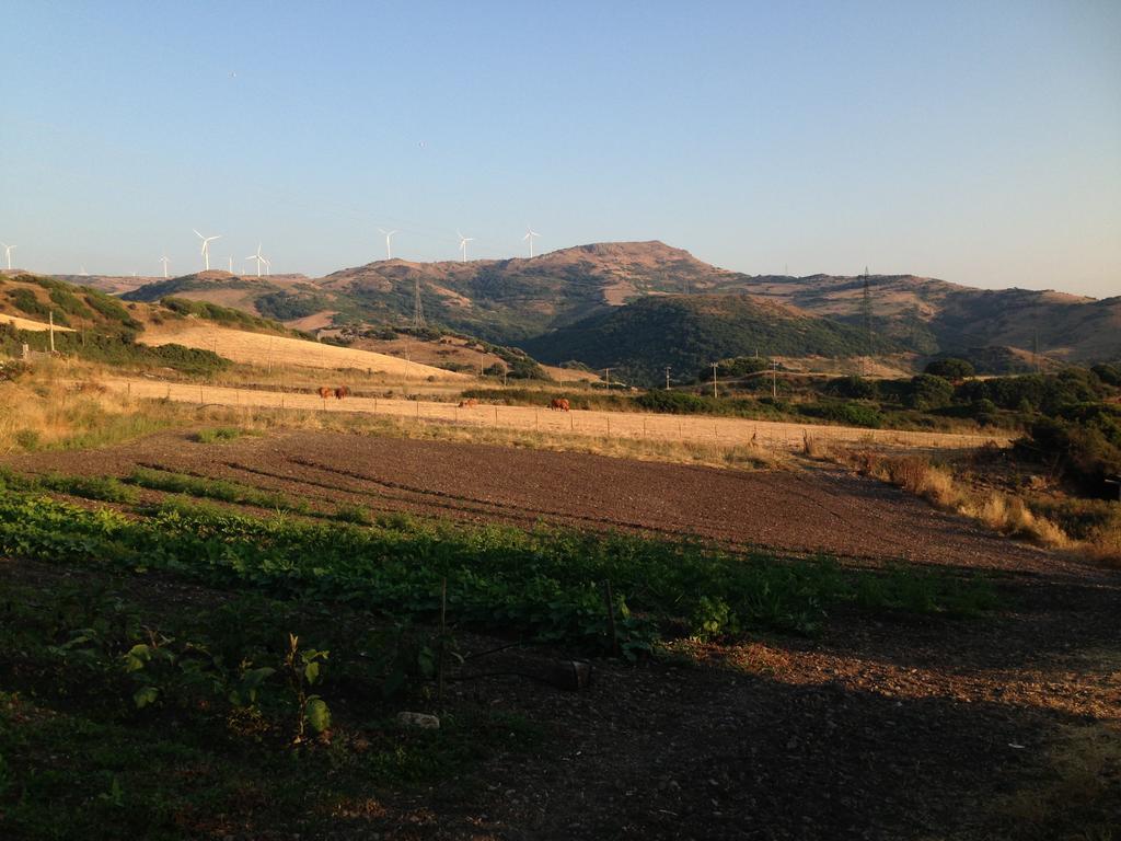 Agriturismo Sa Tanca Noa Tergu Dış mekan fotoğraf