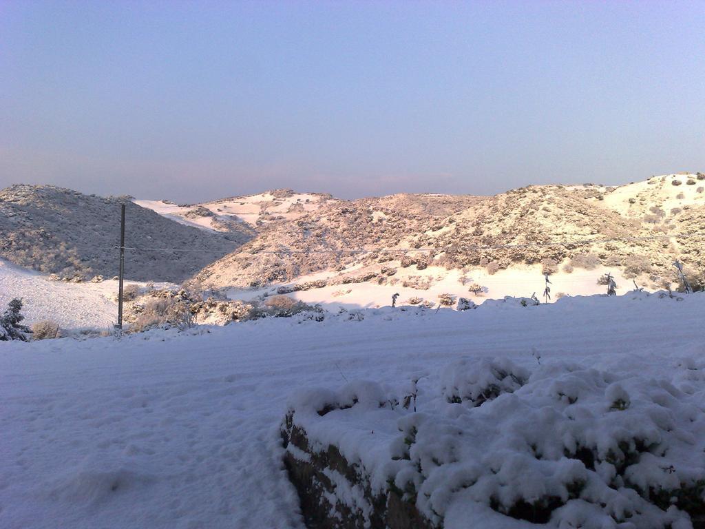 Agriturismo Sa Tanca Noa Tergu Dış mekan fotoğraf