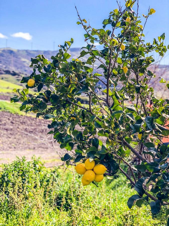 Agriturismo Sa Tanca Noa Tergu Dış mekan fotoğraf