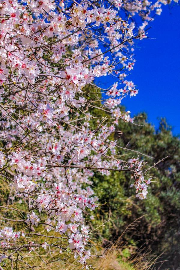 Agriturismo Sa Tanca Noa Tergu Dış mekan fotoğraf