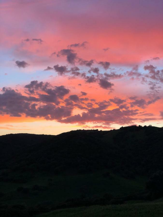 Agriturismo Sa Tanca Noa Tergu Dış mekan fotoğraf