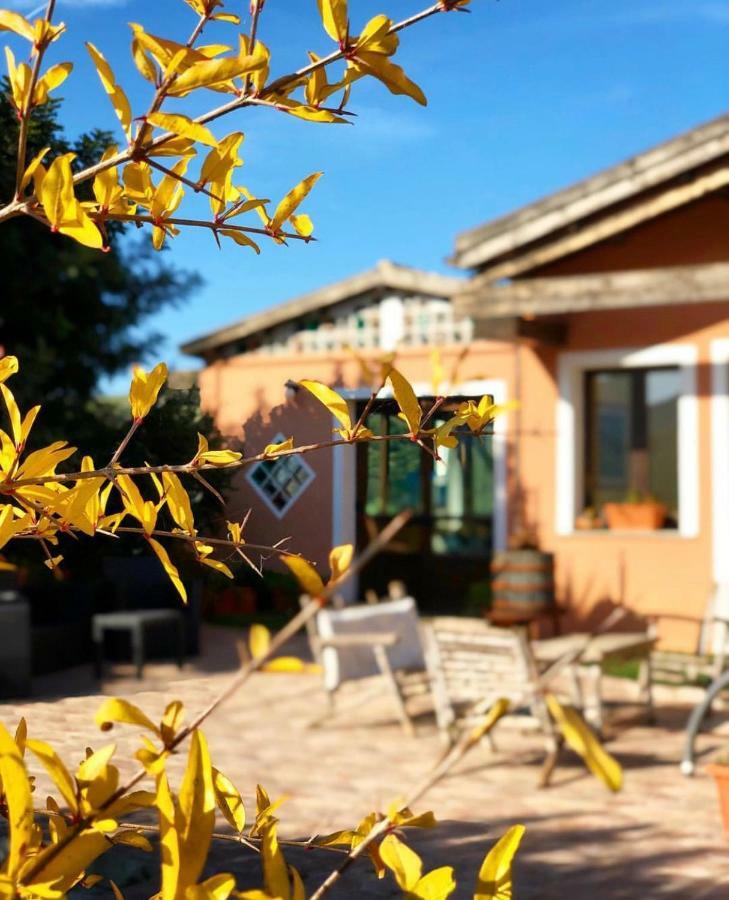 Agriturismo Sa Tanca Noa Tergu Dış mekan fotoğraf