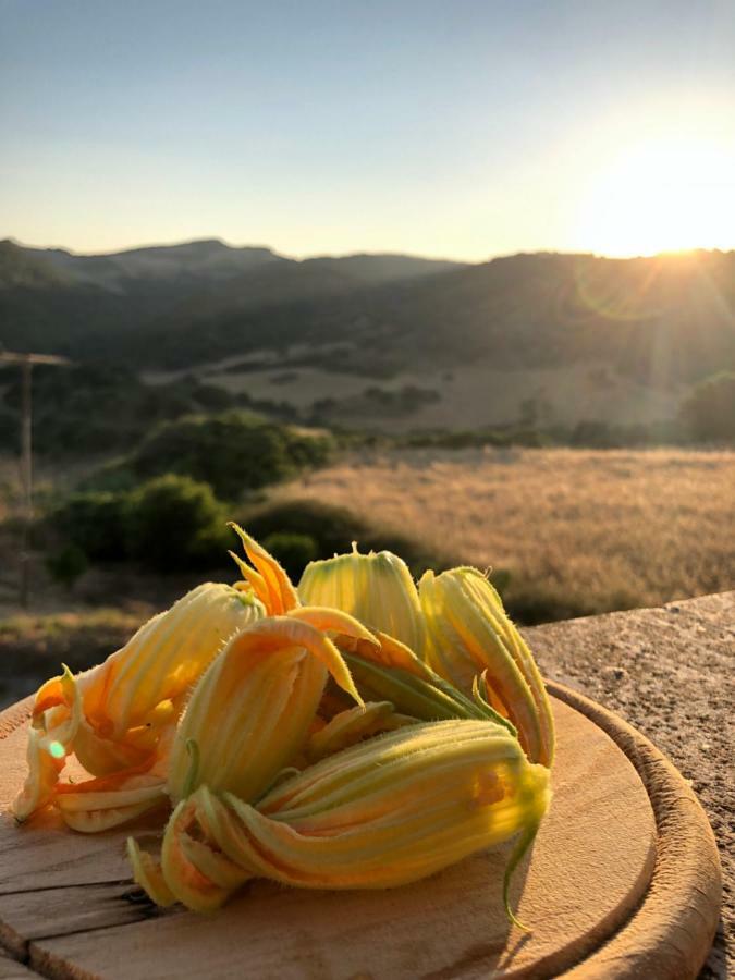 Agriturismo Sa Tanca Noa Tergu Dış mekan fotoğraf